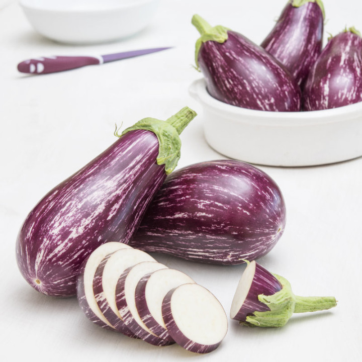 Aubergine Zébrina