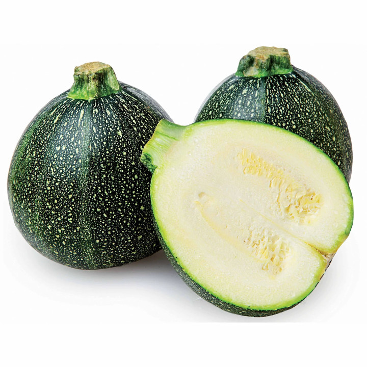 Courgette Ronde Nice à Fruit Rond - Variété Originale Cultivée par les Élèves