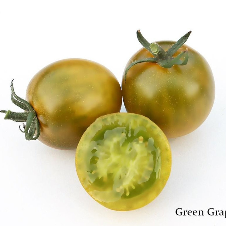 Tomate Cerise Verte Green Grape - Variété Originale Cultivée par les Élèves