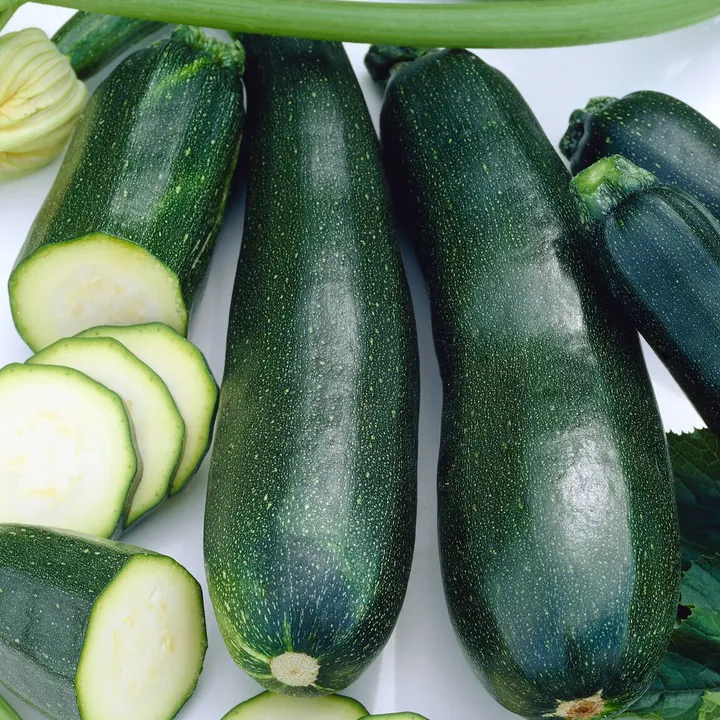 Courgette Black beauty - Variété Productive Cultivée par les Élèves