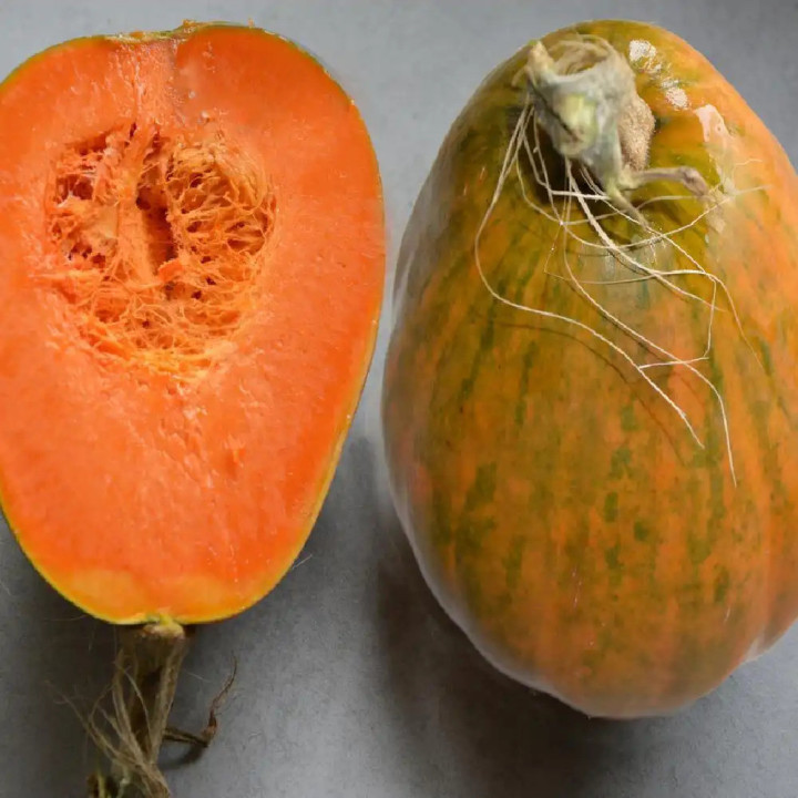 Courge Sucrine de Berry - Variété Délicate Cultivée par les Élèves