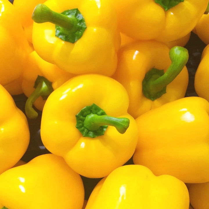 Poivron Quadrato d'Asti Giallo