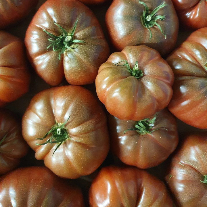 Tomate Noire de Crimée - Variété Originale Cultivée par les Élèves