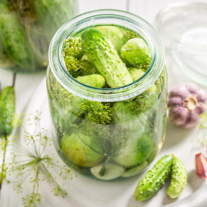Cornichon Vert Fin de Meaux - Variété Précoce Cultivée par les Élèves