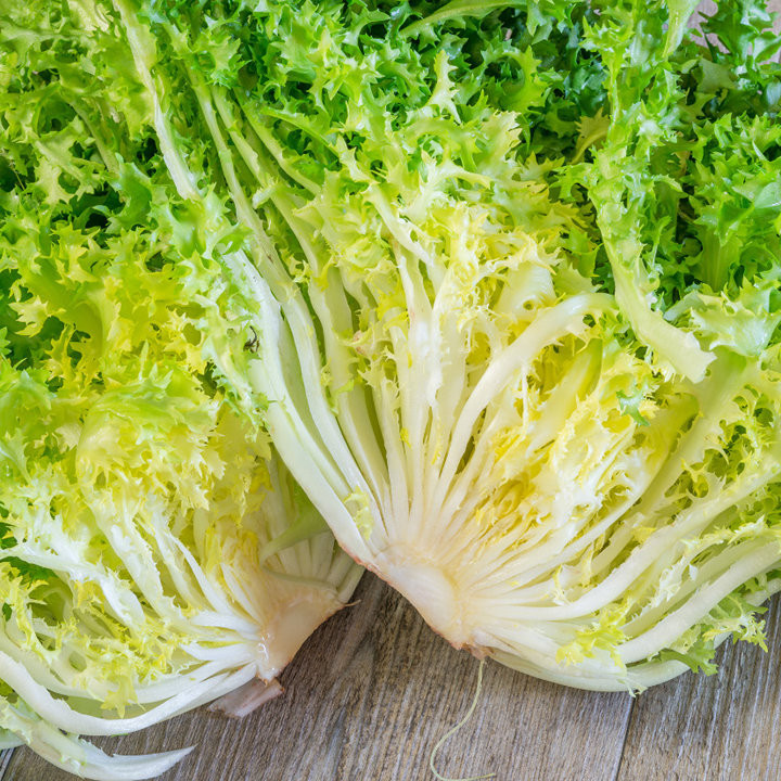 Salade chicorée frisée Wallone