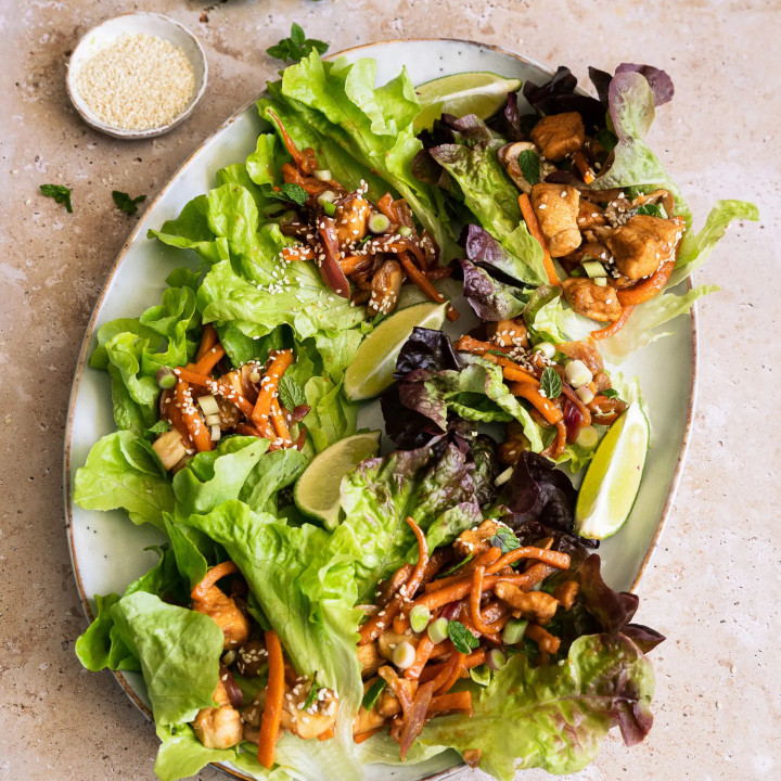 Salade Feuille de Chêne Lenir - Variété Tendre Cultivée par les Élèves