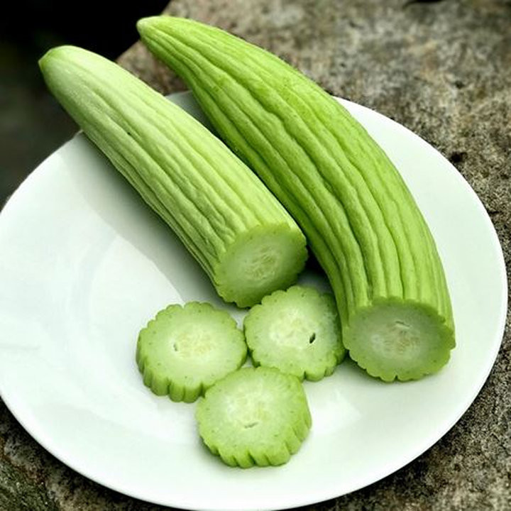 Concombre Arménien - Variété Insolite Cultivée par les Élèves