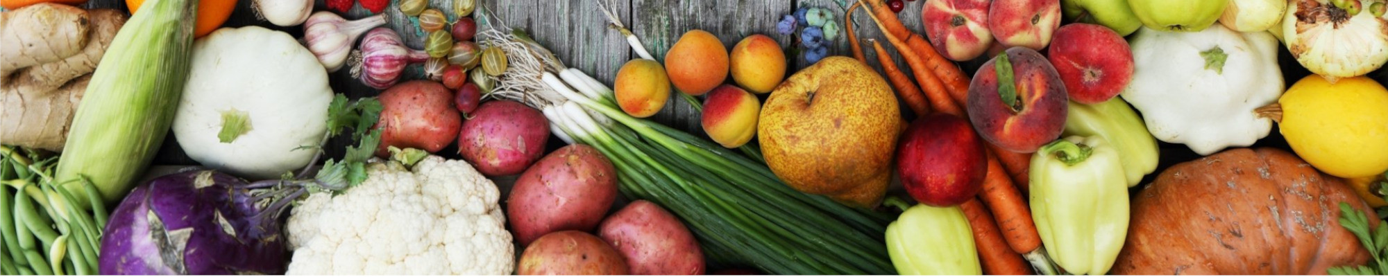 Plants de Légumes Cultivés par les Élèves