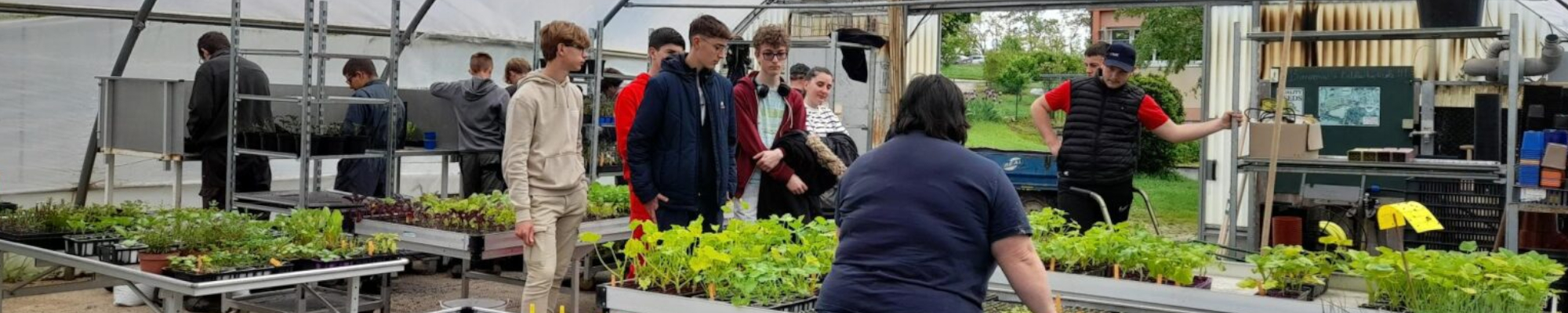 Vue de la serre du Pôle Horticole
